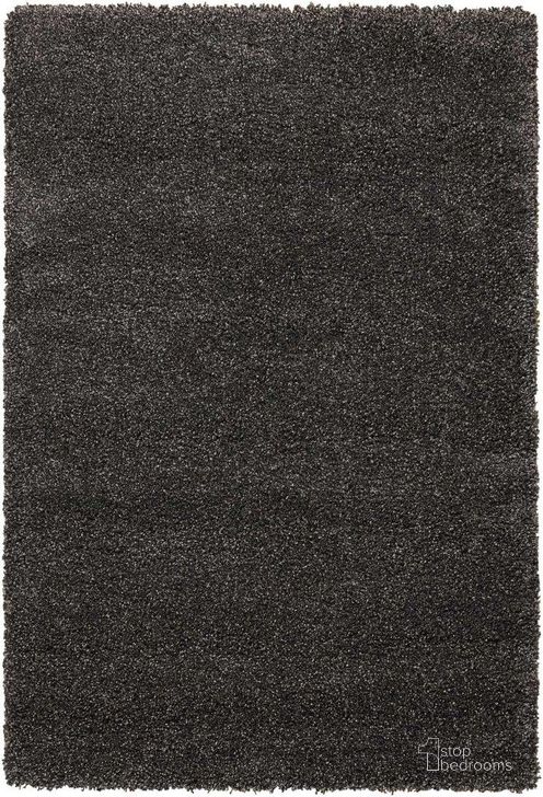 The appearance of Amore Dark Grey 4 X 6 Area Rug designed by Nourison in the modern / contemporary interior design. This dark grey piece of furniture  was selected by 1StopBedrooms from Amore Collection to add a touch of cosiness and style into your home. Sku: 99446150349. Material: Polypropylene. Product Type: Area Rugs. Image1