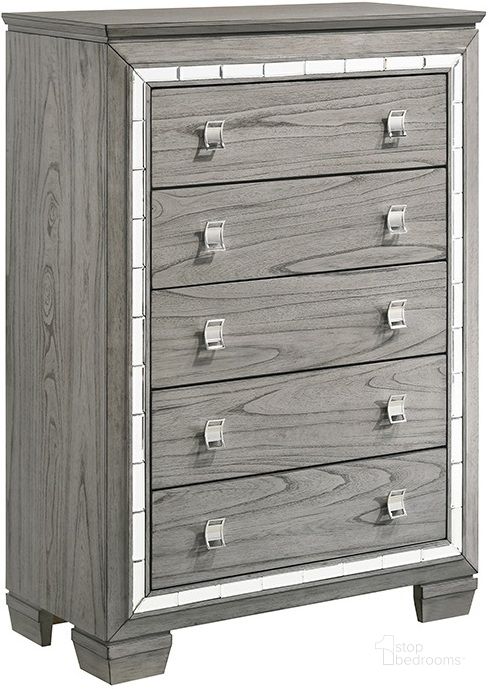 The appearance of Antares Chest designed by ACME in the glam interior design. This light gray piece of furniture  was selected by 1StopBedrooms from Antares Collection to add a touch of cosiness and style into your home. Sku: 21826. Material: Wood. Product Type: Chest. Image1