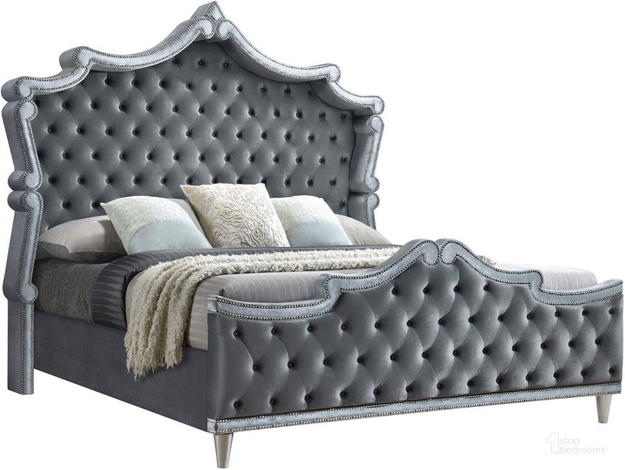 The appearance of Antonella Upholstered Tufted Eastern King Bed In Grey designed by Coaster in the modern / contemporary interior design. This grey piece of furniture  was selected by 1StopBedrooms from Antonella Collection to add a touch of cosiness and style into your home. Sku: 223581KEB1;223581KEB2;223581KEB3. Material: Upholstered. Bed Size: King. Product Type: Upholstered Bed. Image1