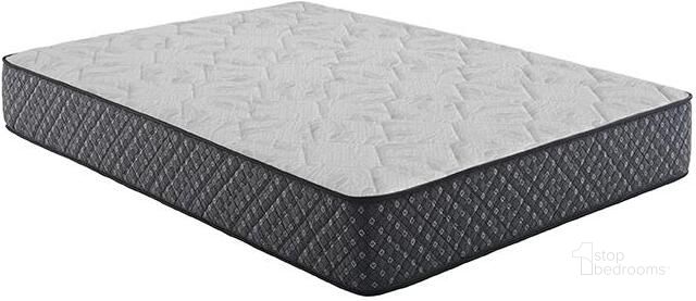 The appearance of Aspen Euro Top White And Gray 12 Inch Twin Mattress designed by Coaster in the modern / contemporary interior design. This white and gray piece of furniture  was selected by 1StopBedrooms from Aspen Euro Top Collection to add a touch of cosiness and style into your home. Sku: 350381T. Material: Fabric. Product Type: Mattress. Bed Size: Twin. Size: Twin. Comfort Level: Ultra Plush. Mattress Top: Euro Top. Mattress Type: Innerspring. Comfort Level: Ultra Plush. Mattress Thickness: 12". Image1