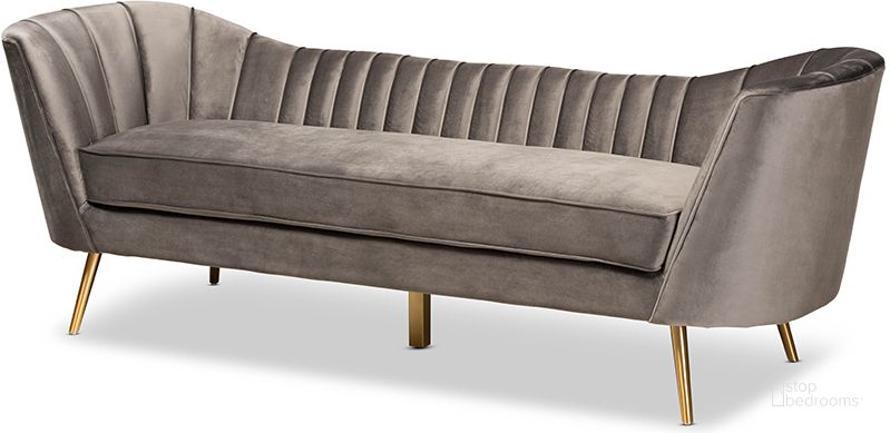 The appearance of Baxton Studio Kailyn Glam and Luxe Grey Velvet Fabric Upholstered and Gold Finished Sofa designed by Baxton Studio in the glam interior design. This gray and gold piece of furniture  was selected by 1StopBedrooms from Kailyn Collection to add a touch of cosiness and style into your home. Sku: TSF-6719-3-Grey Velvet/Gold-SF. Product Type: Sofa. Material: Plywood. Image1