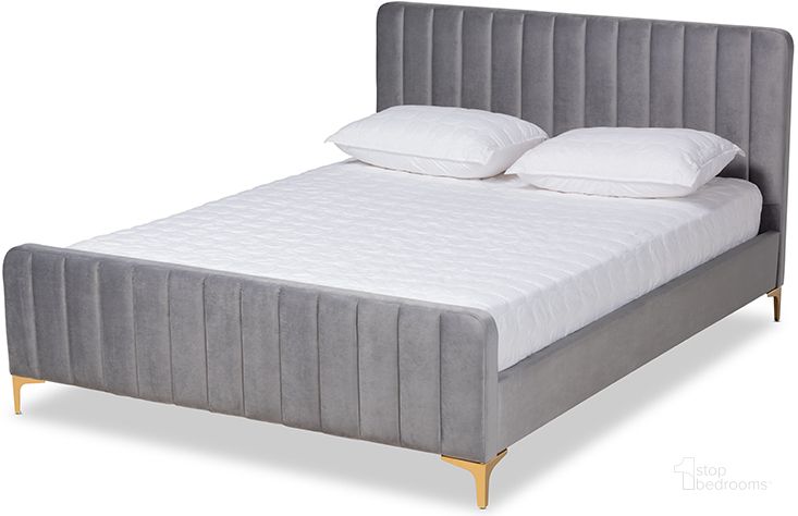 The appearance of Baxton Studio Nami Modern Contemporary Glam and Luxe Light Grey Velvet Fabric Upholstered and Gold Finished Queen Size Platform Bed designed by Baxton Studio in the transitional interior design. This light gray piece of furniture  was selected by 1StopBedrooms from Nami Collection to add a touch of cosiness and style into your home. Sku: CF0374-Light Grey-Queen. Bed Type: Platform Bed. Product Type: Platform Bed. Bed Size: Queen. Material: MDF. Image1