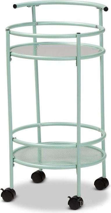 The appearance of Baxton Studio Newell Mid-Century Modern Mint Green Finished Metal 2-Tier Kitchen Cart designed by Baxton Studio in the transitional interior design. This green piece of furniture  was selected by 1StopBedrooms from Newell Collection to add a touch of cosiness and style into your home. Sku: LCF20171-Mint Green-Cart. Material: Metal. Product Type: Kitchen Cart. Image1