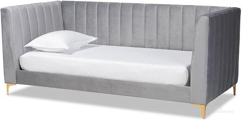 The appearance of Baxton Studio Oksana Modern Contemporary Glam and Luxe Light Grey Velvet Fabric Upholstered and Gold Finished Twin Size Daybed designed by Baxton Studio in the modern / contemporary interior design. This light gray piece of furniture  was selected by 1StopBedrooms from Oksana Collection to add a touch of cosiness and style into your home. Sku: CF0344-Light Grey Daybed-Twin. Bed Type: Daybed. Product Type: DayBed. Bed Size: Twin. Material: MDF. Image1
