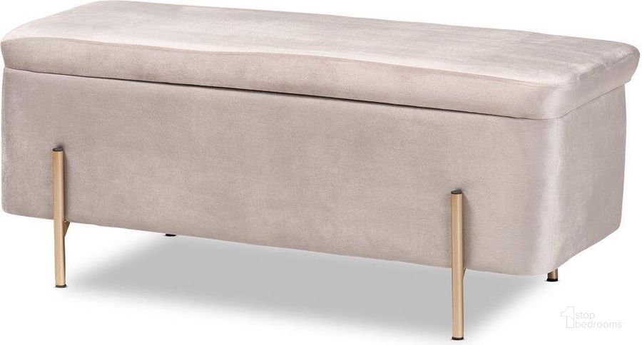 The appearance of Baxton Studio Rockwell Contemporary Glam And Luxe Grey Velvet Fabric Upholstered And Gold Finished Metal Storage Bench designed by Baxton Studio in the modern / contemporary interior design. This gold piece of furniture  was selected by 1StopBedrooms from Rockwell Collection to add a touch of cosiness and style into your home. Sku: FZD0223-Grey Velvet-Bench. Material: Wood. Product Type: Storage Bench. Image1