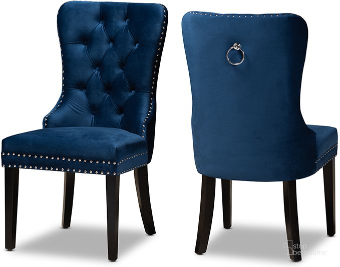 The appearance of Bayhead Navy Blue Dining Chair designed by Isaac Tahari in the transitional interior design. This navy blue piece of furniture  was selected by 1StopBedrooms from Bayhead Collection to add a touch of cosiness and style into your home. Sku: WS-F458-Navy Blue Velvet/Espresso-DC. Material: Wood. Product Type: Dining Chair. Image1