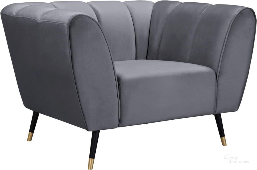The appearance of Beaumont Grey Velvet Chair designed by Meridian in the modern / contemporary interior design. This grey velvet piece of furniture  was selected by 1StopBedrooms from Beaumont Collection to add a touch of cosiness and style into your home. Sku: 626Grey-C. Product Type: Chair. Material: Velvet. Image1