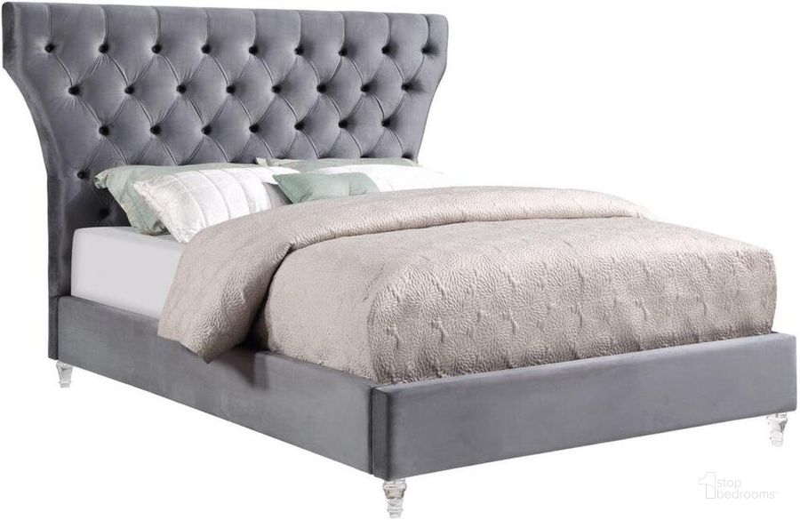 The appearance of Bellagio Gray Tufted Velvet California King Platform Bed With Acrylic Legs designed by Best Master Furniture in the modern / contemporary interior design. This gray piece of furniture  was selected by 1StopBedrooms from Bellagio Collection to add a touch of cosiness and style into your home. Sku: B1931GCK. Bed Type: Platform Bed. Product Type: Platform Bed. Bed Size: California King. Material: Velvet. Image1