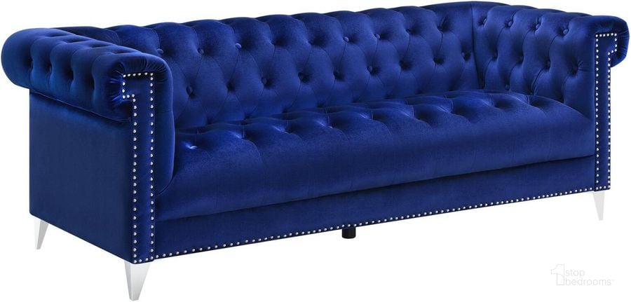 The appearance of Bleker Blue Sofa designed by Coaster in the modern / contemporary interior design. This blue piece of furniture  was selected by 1StopBedrooms from Bleker Collection to add a touch of cosiness and style into your home. Sku: 509481. Product Type: Sofa. Material: Plywood. Image1