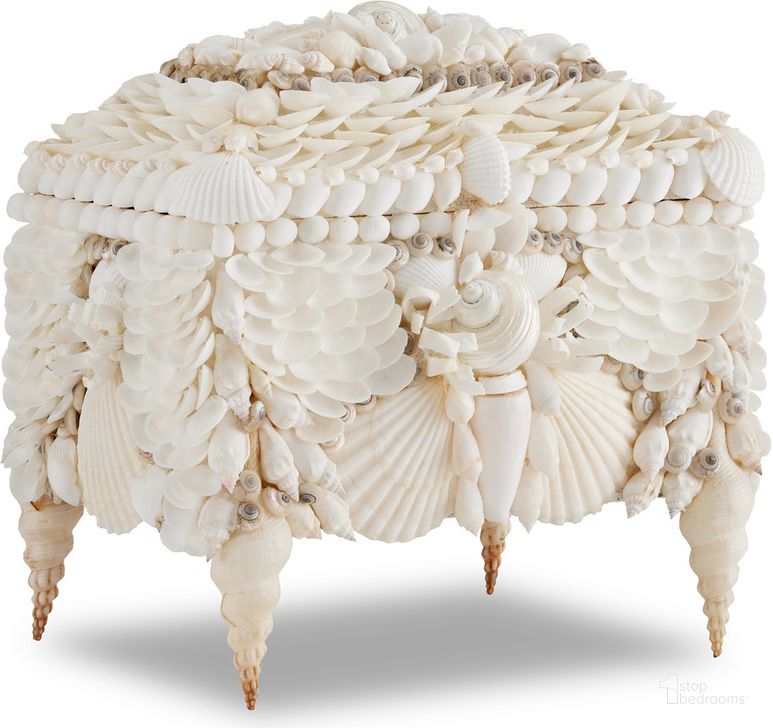 The appearance of Boardwalk White Shell Jewelry Box designed by Currey & Company in the modern / contemporary interior design. This white piece of furniture  was selected by 1StopBedrooms from Boardwalk Collection to add a touch of cosiness and style into your home. Sku: 1200-0612. Material: Wood. Product Type: Jewelry Box. Image1