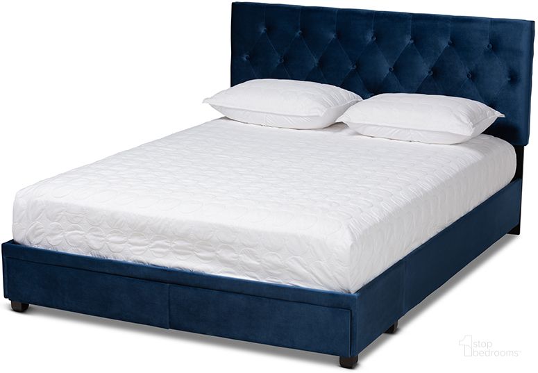 The appearance of Caronia Modern And Contemporary Navy Blue Velvet Fabric Upholstered 2-Drawer King Size Platform Storage Bed designed by Baxton Studio in the modern / contemporary interior design. This navy blue piece of furniture  was selected by 1StopBedrooms from Caronia Collection to add a touch of cosiness and style into your home. Sku: Caronia-Navy-King. Bed Type: Platform Bed. Product Type: Platform Bed. Bed Size: King. Material: MDF. Image1