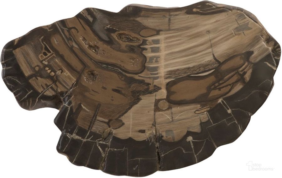The appearance of Cast Petrified Wood Wall Tile PH94505 designed by Phillips Collection in the modern / contemporary interior design. This brown piece of furniture  was selected by 1StopBedrooms from Cast Naturals Collection to add a touch of cosiness and style into your home. Sku: PH94505. Material: Resin. Product Type: Wall Decor. Image1