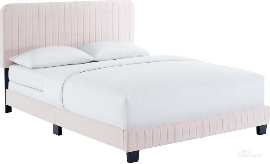 The appearance of Celine Channel Tufted Performance Velvet King Bed MOD-6329-PNK designed by Modway in the modern / contemporary interior design. This pink piece of furniture  was selected by 1StopBedrooms from Celine Collection to add a touch of cosiness and style into your home. Sku: MOD-6329-PNK. Bed Type: Panel Bed. Product Type: Panel Bed. Bed Size: King. Material: MDF. Image1