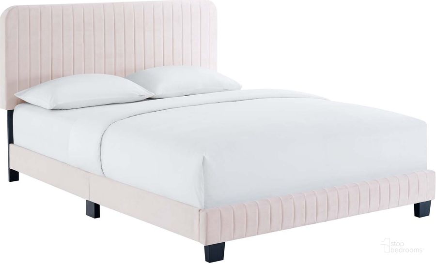 The appearance of Celine Channel Tufted Performance Velvet King Platform Bed MOD-6333-PNK designed by Modway in the modern / contemporary interior design. This pink piece of furniture  was selected by 1StopBedrooms from Celine Collection to add a touch of cosiness and style into your home. Sku: MOD-6333-PNK. Bed Type: Platform Bed. Product Type: Platform Bed. Bed Size: King. Material: MDF. Image1