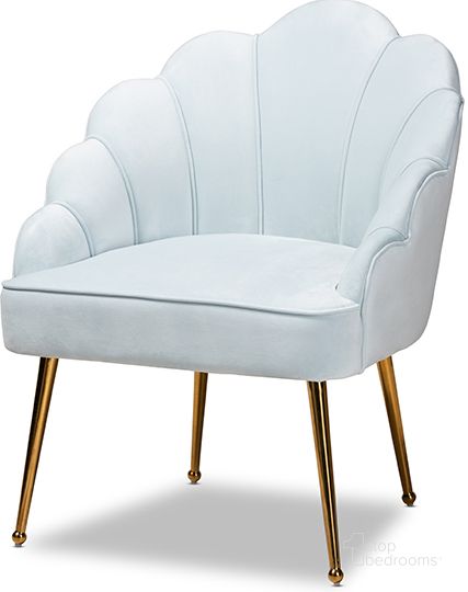 The appearance of Cinzia Glam And Luxe Light Blue Velvet Fabric Upholstered Gold Finished Seashell Shaped Accent Chair designed by Baxton Studio in the glam interior design. This light blue piece of furniture  was selected by 1StopBedrooms from Cinzia Collection to add a touch of cosiness and style into your home. Sku: TSF-6665-Light Blue/Gold-CC. Material: Wood. Product Type: Accent Chair. Image1