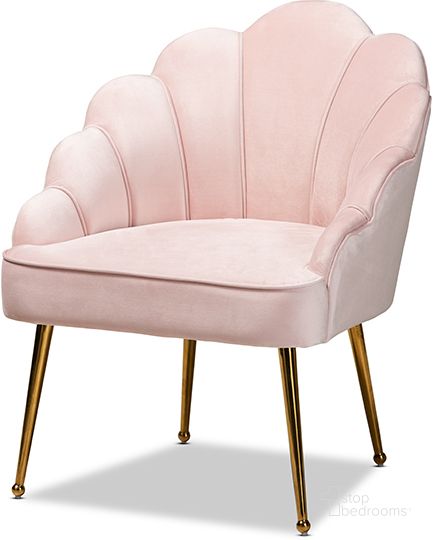 The appearance of Cinzia Glam And Luxe Light Pink Velvet Fabric Upholstered Gold Finished Seashell Shaped Accent Chair designed by Baxton Studio in the glam interior design. This light pink piece of furniture  was selected by 1StopBedrooms from Cinzia Collection to add a touch of cosiness and style into your home. Sku: TSF-6665-Light Pink/Gold-CC. Material: Wood. Product Type: Accent Chair. Image1