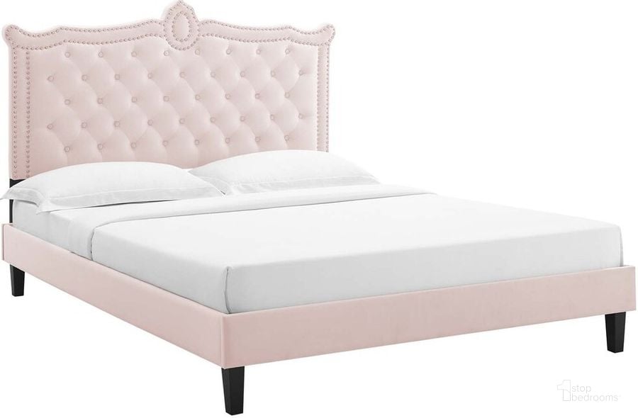 The appearance of Clara Performance Velvet Queen Platform Bed In Pink designed by Modway in the modern / contemporary interior design. This pink piece of furniture  was selected by 1StopBedrooms from Clara Collection to add a touch of cosiness and style into your home. Sku: MOD-6594-PNK. Bed Type: Platform Bed. Product Type: Platform Bed. Bed Size: Queen. Material: MDF. Image1