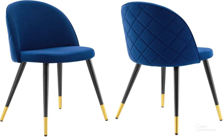 The appearance of Cordial Performance Velvet Dining Chairs - Set of 2 In Navy designed by Modway in the modern / contemporary interior design. This navy piece of furniture  was selected by 1StopBedrooms from Cordial Collection to add a touch of cosiness and style into your home. Sku: EEI-4525-NAV. Material: Polyester. Product Type: Dining Chair. Image1