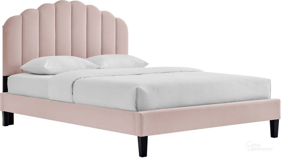 The appearance of Daisy Performance Velvet King Platform Bed In Pink designed by Modway in the modern / contemporary interior design. This pink piece of furniture  was selected by 1StopBedrooms from Daisy Collection to add a touch of cosiness and style into your home. Sku: MOD-7047-PNK. Bed Type: Platform Bed. Product Type: Platform Bed. Bed Size: King. Material: MDF. Image1