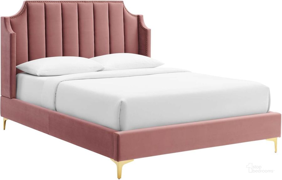 The appearance of Daniella Performance Velvet Queen Platform Bed MOD-6412-DUS designed by Modway in the modern / contemporary interior design. This dusty rose piece of furniture  was selected by 1StopBedrooms from Daniella Collection to add a touch of cosiness and style into your home. Sku: MOD-6412-DUS. Bed Type: Platform Bed. Product Type: Platform Bed. Bed Size: Queen. Material: MDF. Image1