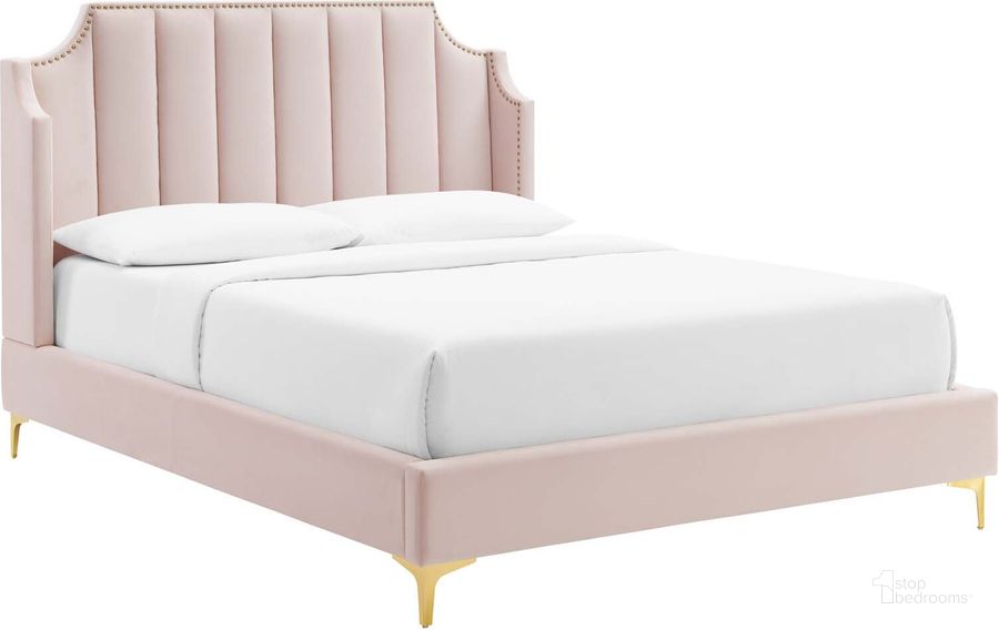 The appearance of Daniella Performance Velvet Queen Platform Bed MOD-6412-PNK designed by Modway in the modern / contemporary interior design. This pink piece of furniture  was selected by 1StopBedrooms from Daniella Collection to add a touch of cosiness and style into your home. Sku: MOD-6412-PNK. Bed Type: Platform Bed. Product Type: Platform Bed. Bed Size: Queen. Material: MDF. Image1