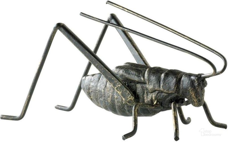 The appearance of Decorative Cricket Sculpture designed by Cyan Design in the cabin / lodge interior design. This gray piece of furniture  was selected by 1StopBedrooms from Decorative Collection to add a touch of cosiness and style into your home. Sku: 04351. Product Type: Sculpture. Material: Iron.