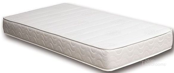 The appearance of Cosmos White 8" Full Memory Foam Mattress designed by Furniture of America in the modern / contemporary interior design. This white piece of furniture  was selected by 1StopBedrooms from Cosmos Collection to add a touch of cosiness and style into your home. Sku: DM361F. Material: Microfiber. Product Type: Mattress. Bed Size: Full. Size: Full. Comfort Level: Firm. Mattress Top: Tight Top. Mattress Type: Memory Foam. Comfort Level: Firm. Mattress Thickness: 8". Image1
