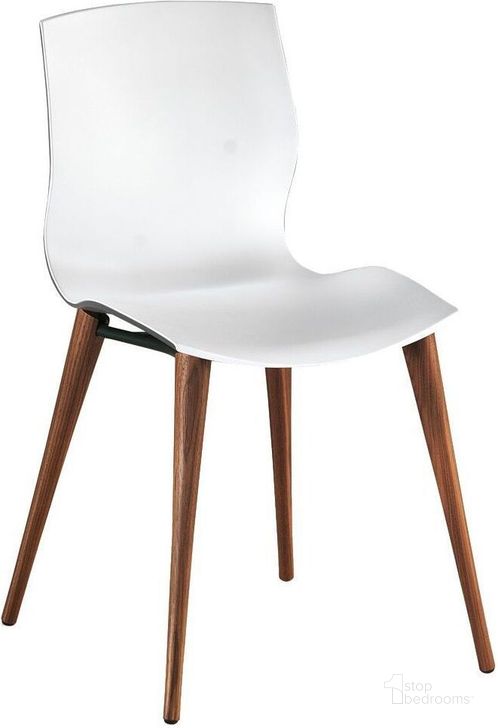 The appearance of Evalyn White Seat With Walnut Legs Chair Set Of 2 designed by Bellini Modern Living in the transitional interior design. This white piece of furniture  was selected by 1StopBedrooms from Evalyn Collection to add a touch of cosiness and style into your home. Sku: Evalyn ANT-WAL. Product Type: Dining Chair. Image1