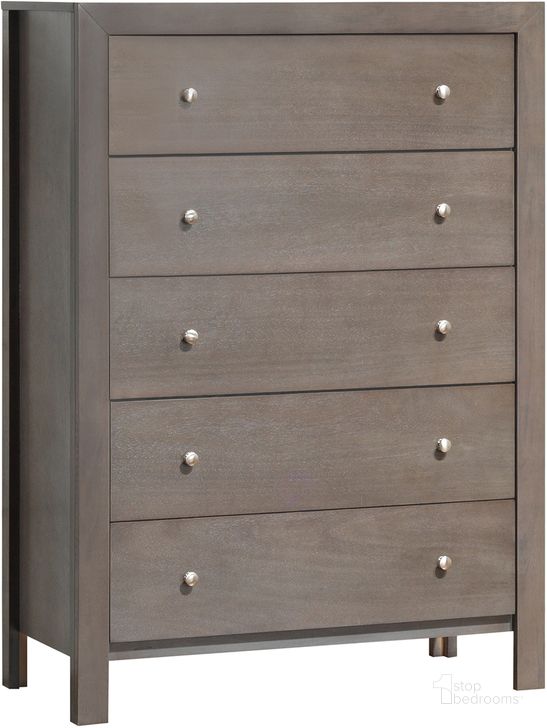 The appearance of Glory Furniture Chest in Gray G2405-CH designed by Glory in the transitional interior design. This gray piece of furniture  was selected by 1StopBedrooms from G2405 Collection to add a touch of cosiness and style into your home. Sku: G2405-CH-Chest. Material: Wood. Product Type: Chest.