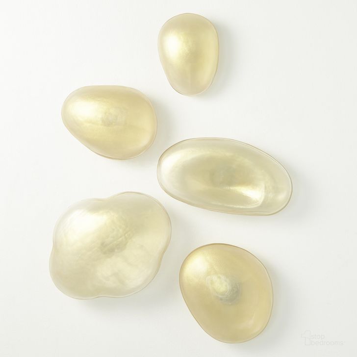 The appearance of Glass Wall Gems Set of 5 In Clear With Gold designed by Global Views in the modern / contemporary interior design. This gold piece of furniture  was selected by 1StopBedrooms from Glass Collection to add a touch of cosiness and style into your home. Sku: 8.82893. Material: Glass. Product Type: Wall Decor. Image1