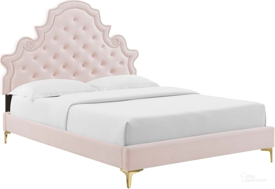 The appearance of Gwyneth Tufted Performance Velvet Queen Platform Bed MOD-6751-PNK designed by Modway in the modern / contemporary interior design. This pink piece of furniture  was selected by 1StopBedrooms from Gwyneth Collection to add a touch of cosiness and style into your home. Sku: MOD-6751-PNK. Bed Type: Platform Bed. Product Type: Platform Bed. Bed Size: Queen. Material: MDF. Image1