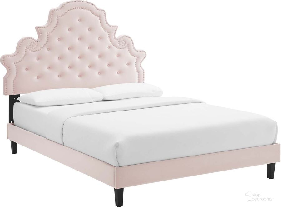 The appearance of Gwyneth Tufted Performance Velvet Queen Platform Bed MOD-6753-PNK designed by Modway in the modern / contemporary interior design. This pink piece of furniture  was selected by 1StopBedrooms from Gwyneth Collection to add a touch of cosiness and style into your home. Sku: MOD-6753-PNK. Bed Type: Platform Bed. Product Type: Platform Bed. Bed Size: Queen. Material: MDF. Image1