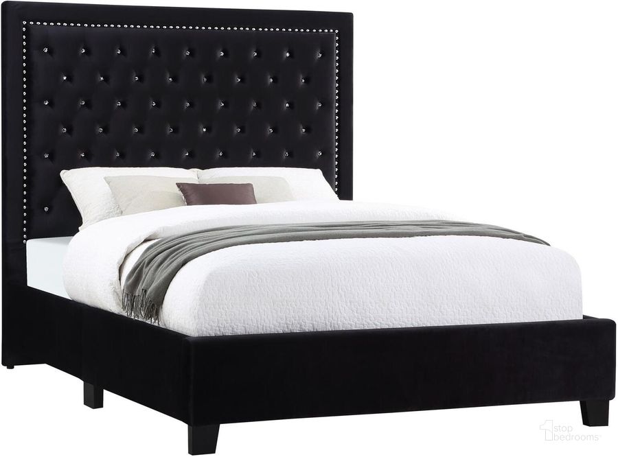 The appearance of Hailey Upholstered Tufted Platform Eastern King Bed Black designed by Coaster in the modern / contemporary interior design. This black piece of furniture  was selected by 1StopBedrooms from Hailey Collection to add a touch of cosiness and style into your home. Sku: 315925KE. Bed Type: Platform Bed. Product Type: Platform Bed. Bed Size: King. Material: Plywood. Image1