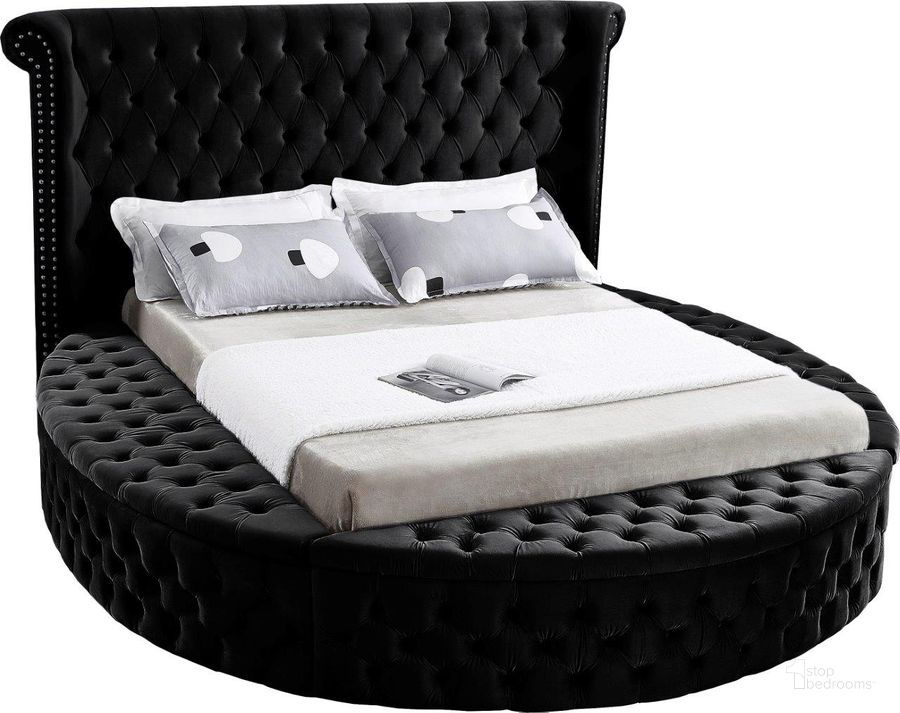 The appearance of Hebbville Black Velvet Queen Platform Bed designed by Furnique in the modern / contemporary interior design. This black piece of furniture  was selected by 1StopBedrooms from Hebbville Collection to add a touch of cosiness and style into your home. Sku: LuxusBlack-Q-1;LuxusBlack-Q-2;LuxusBlack-Q-3. Bed Type: Storage Bed. Product Type: Storage Bed. Bed Size: Queen. Material: Velvet. Image1