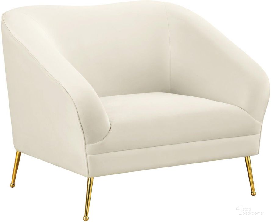 The appearance of Hermosa Cream Chair designed by Meridian in the modern / contemporary interior design. This cream piece of furniture  was selected by 1StopBedrooms from Hermosa Collection to add a touch of cosiness and style into your home. Sku: 658Cream-C. Product Type: Living Room Chair. Material: Velvet. Image1
