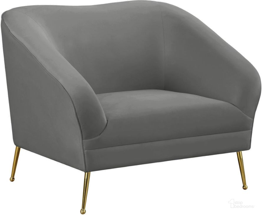 The appearance of Hermosa Grey Chair designed by Meridian in the modern / contemporary interior design. This grey piece of furniture  was selected by 1StopBedrooms from Hermosa Collection to add a touch of cosiness and style into your home. Sku: 658Grey-C. Product Type: Living Room Chair. Material: Velvet. Image1