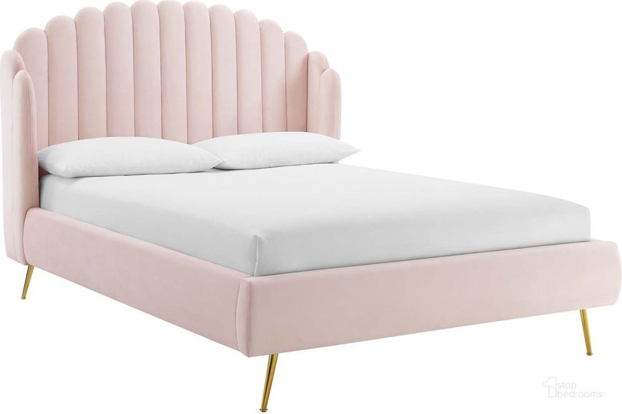 The appearance of Lana Queen Performance Velvet Wingback Platform Bed MOD-6282-PNK designed by Modway in the modern / contemporary interior design. This pink piece of furniture  was selected by 1StopBedrooms from Lana Collection to add a touch of cosiness and style into your home. Sku: MOD-6282-PNK. Bed Type: Platform Bed. Product Type: Platform Bed. Bed Size: Queen. Material: MDF. Image1