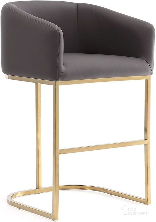 The appearance of Louvre Counter Stool in Grey and Titanium Gold designed by Manhattan Comfort in the transitional interior design. This grey piece of furniture  was selected by 1StopBedrooms from Louvre Collection to add a touch of cosiness and style into your home. Sku: CS009-GY. Product Type: Barstool. Material: Stainless Steel. Image1