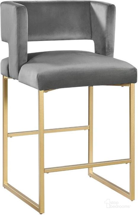 The appearance of Lynx Gray Velvet Bar Stool Set of 2 In Gold designed by Best Master Furniture in the modern / contemporary interior design. This gray piece of furniture  was selected by 1StopBedrooms from Lynx Collection to add a touch of cosiness and style into your home. Sku: LX906GG. Product Type: Barstool. Material: Velvet. Image1