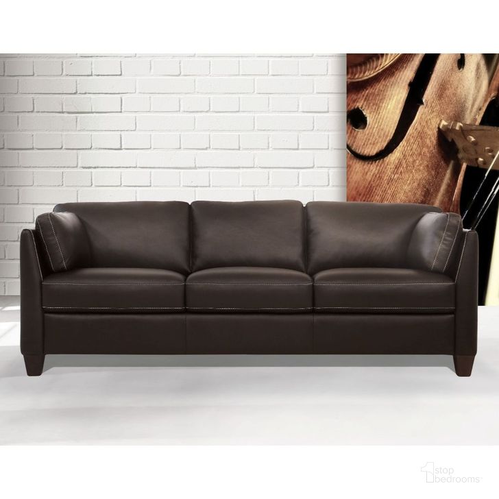 The appearance of Matias Chocolate Leather Sofa designed by ACME in the modern / contemporary interior design. This chocolate piece of furniture  was selected by 1StopBedrooms from Matias Collection to add a touch of cosiness and style into your home. Sku: 55010. Material: Wood. Product Type: Leather Sofa. Image1
