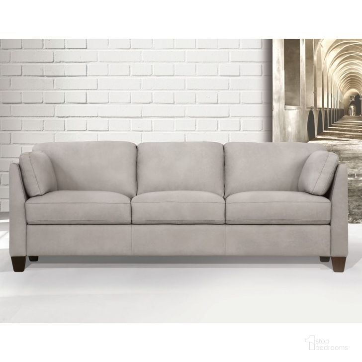 The appearance of Matias Dusty White Leather Sofa designed by ACME in the modern / contemporary interior design. This white piece of furniture  was selected by 1StopBedrooms from Matias Collection to add a touch of cosiness and style into your home. Sku: 55015. Material: Wood. Product Type: Leather Sofa. Image1