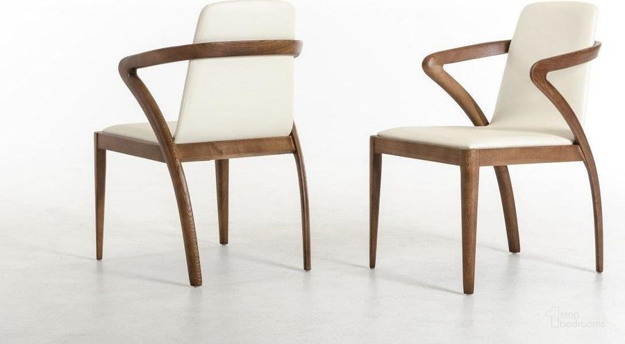 Modrest dining top chairs