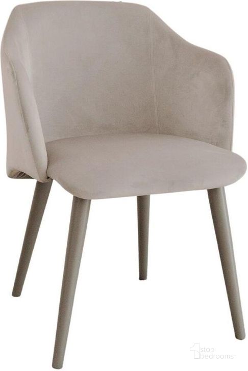 The appearance of Monroe Dining Chair In Gray Velvet Fabric designed by Casabianca Home in the modern / contemporary interior design. This gray piece of furniture  was selected by 1StopBedrooms from Monroe Collection to add a touch of cosiness and style into your home. Sku: TC-202G. Product Type: Dining Chair. Material: Velvet. Image1