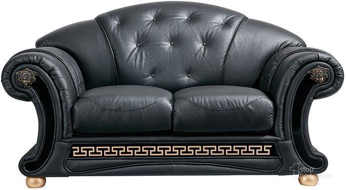 The appearance of Mountway Black Loveseat designed by Versailles Home in the traditional interior design. This black piece of furniture  was selected by 1StopBedrooms from Mountway Collection to add a touch of cosiness and style into your home. Sku: APOLO2BLACK. Material: Leather. Product Type: Loveseat. Image1