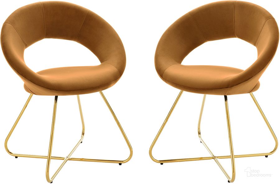 The appearance of Nouvelle Performance Velvet Dining Chair Set Of 2 In Gold Cognac designed by Modway in the modern / contemporary interior design. This gold cognac piece of furniture  was selected by 1StopBedrooms from Nouvelle Collection to add a touch of cosiness and style into your home. Sku: EEI-4681-GLD-COG. Material: Metal. Product Type: Dining Chair. Image1