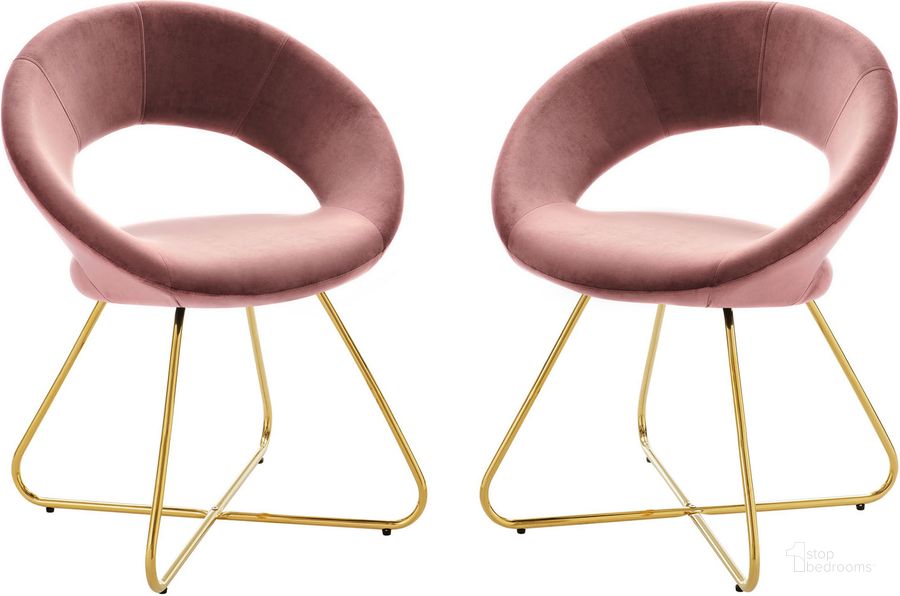 The appearance of Nouvelle Performance Velvet Dining Chair Set Of 2 In Gold Dusty Rose designed by Modway in the modern / contemporary interior design. This gold dusty rose piece of furniture  was selected by 1StopBedrooms from Nouvelle Collection to add a touch of cosiness and style into your home. Sku: EEI-4681-GLD-DUS. Material: Metal. Product Type: Dining Chair. Image1