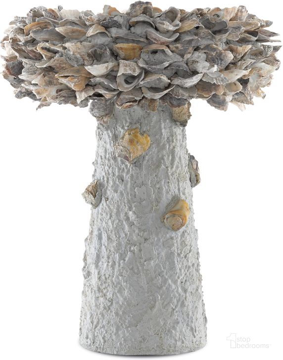 The appearance of Oyster Shell Medium Bird Bath In Natural designed by Currey & Company in the modern / contemporary interior design. This natural piece of furniture  was selected by 1StopBedrooms from Oyster Shell Collection to add a touch of cosiness and style into your home. Sku: 1200-0053. Product Type: Decorative Accessory. Material: Iron. Image1