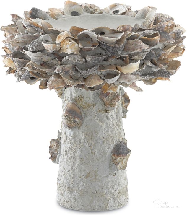 The appearance of Oyster Shell Small Bird Bath In Natural designed by Currey & Company in the modern / contemporary interior design. This natural piece of furniture  was selected by 1StopBedrooms from Oyster Shell Collection to add a touch of cosiness and style into your home. Sku: 1200-0052. Product Type: Decorative Accessory. Material: Iron. Image1
