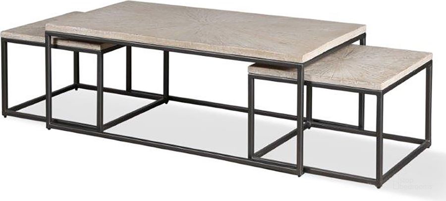 The appearance of Parker House Crossings Monaco Rectangular Nesting Cocktail Table designed by Parker House in the transitional interior design. This weathered piece of furniture  was selected by 1StopBedrooms from Crossings Monaco Collection to add a touch of cosiness and style into your home. Sku: MON#01. Material: Wood. Product Type: Cocktail Table. Image1