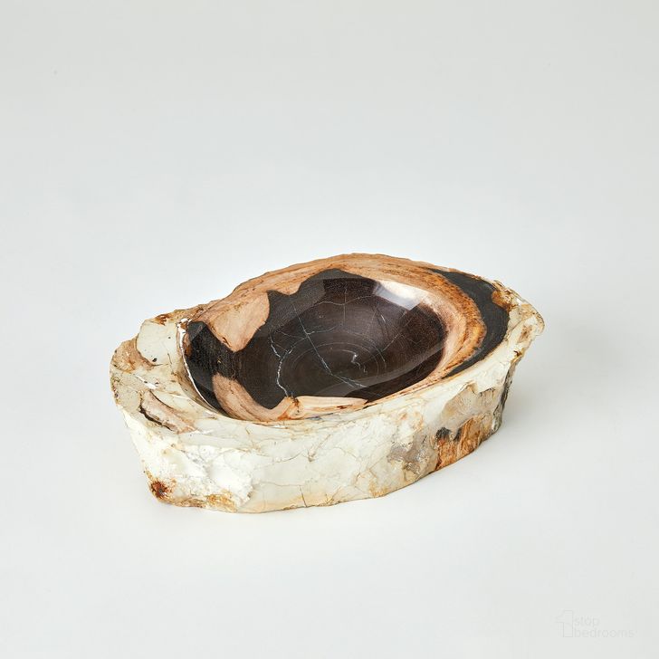 The appearance of Petrified Bowl In Beige And Black designed by Global Views in the modern / contemporary interior design. This brown piece of furniture  was selected by 1StopBedrooms from Petrified Collection to add a touch of cosiness and style into your home. Sku: 7.91535. Material: Wood. Product Type: Bowl. Image1